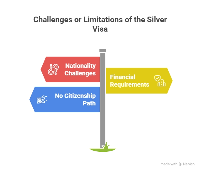 Challenges or Limitations of the Silver Visa